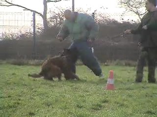 entrainement à la défense du maitre.