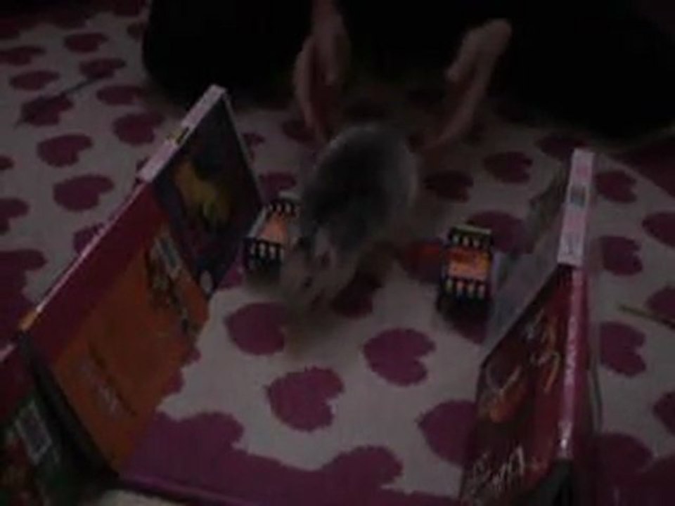 raven Jump'