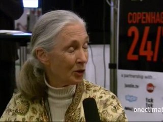 OneClimate Interview with Jane Goodall at COP15 - 2