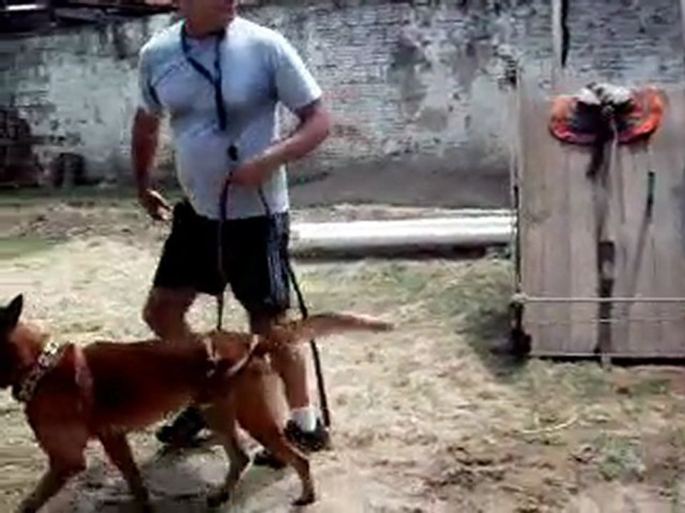Mali treino...
