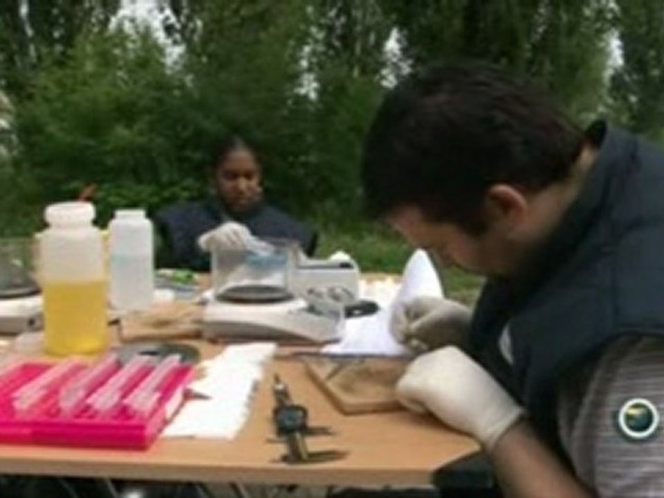 Rivières de médicaments - ARTE