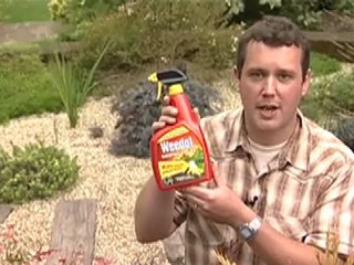 How to get rid of pesky weeds with Weedol!
