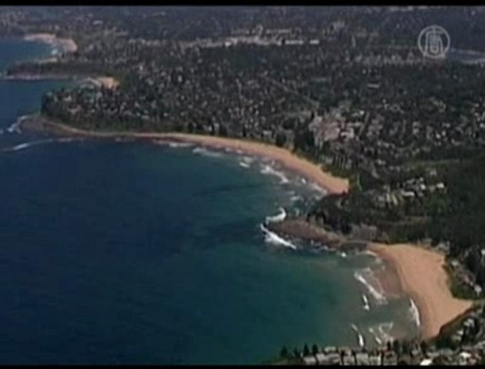 Australian Man Survives Shark Attack