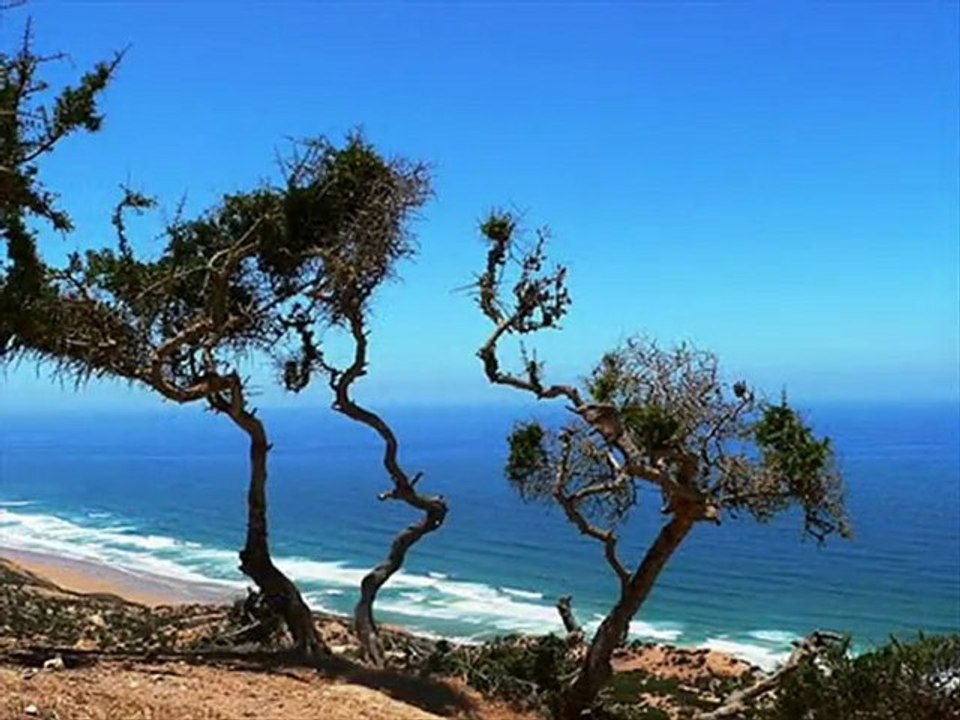 Seashore Photos [Seashore Photo]