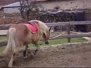 seance longe avec elastique