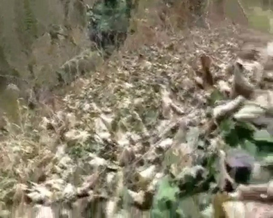 Opération Storming Hostel