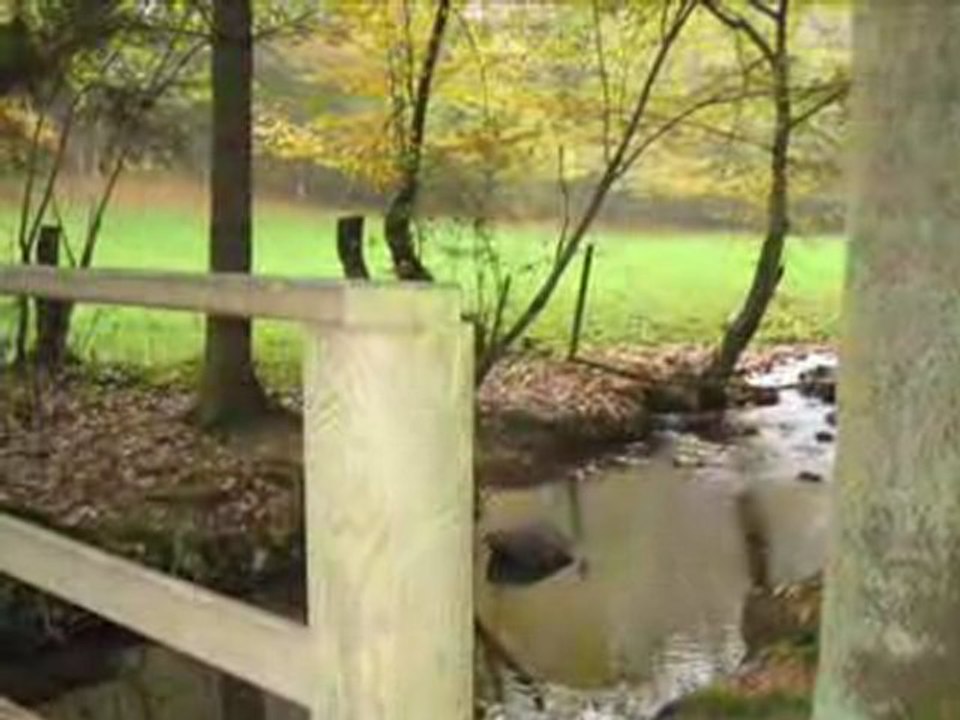 Diaporama de l'année 2008 - 12ème partie