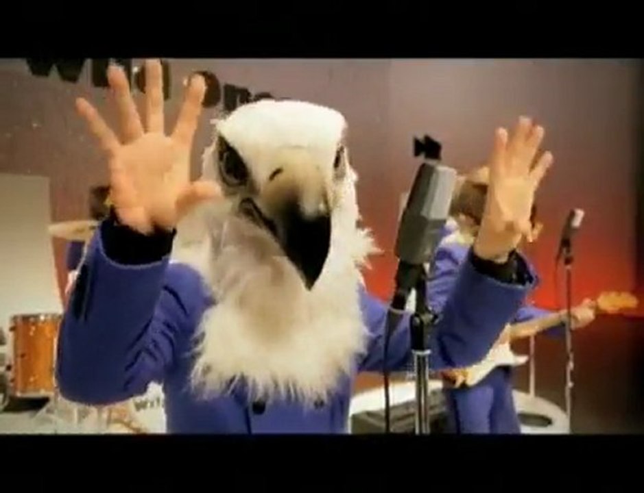 owls