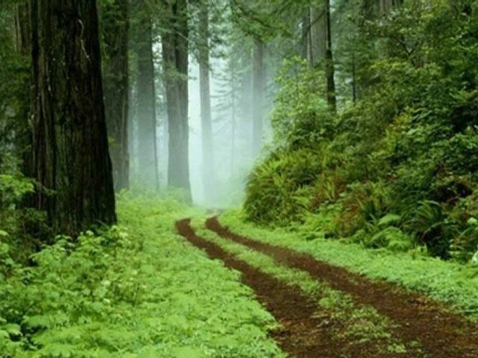 En chemin (1)