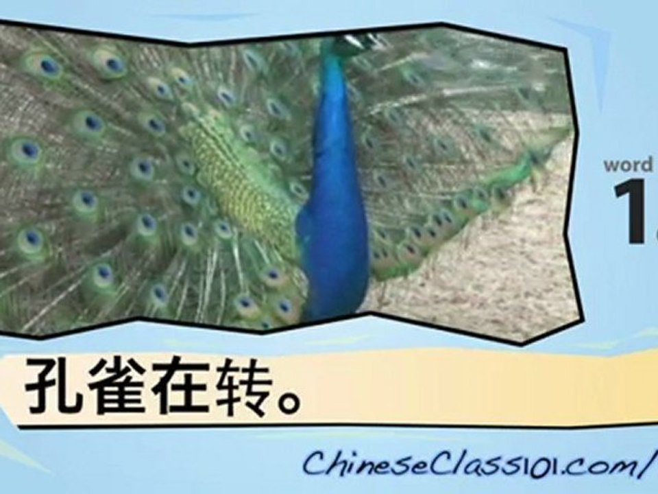 Learn ChineseClass - Learn with ChineseClass Bird Videos
