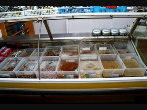 orlando surfcasting shop