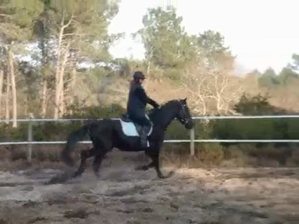 Shukari notre 1ère vraie séance montée