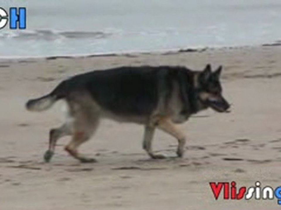 Giorgio @ Vlissingen, Zeeland 2010 * In My Dreams - R. Miles