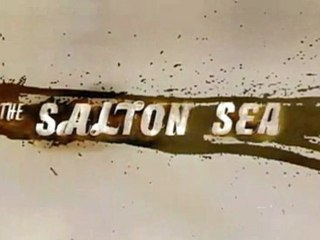 The Salton Sea