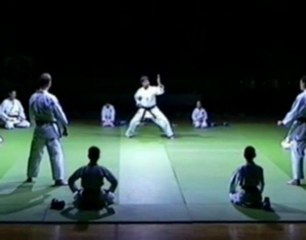 KATA KARATE ENPI LEVINET