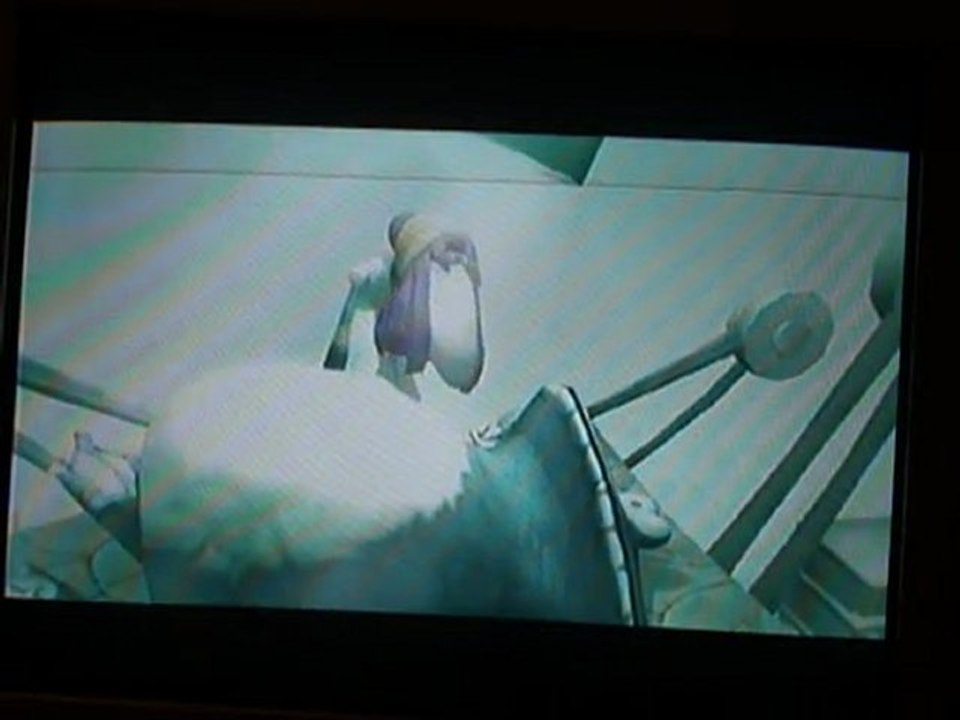 Rayman 3 (9) : Le médecin Hippy