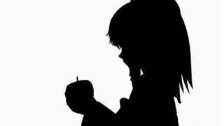 Tohou-Bad Apple!! (shadow art)