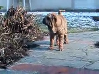 EIFFEL EXELMANS DES MING WAY