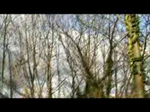 Entrainements Bécasses 2009.2010