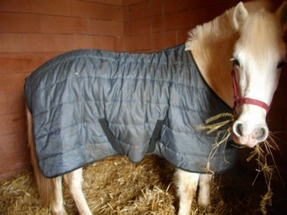 Quiquoi ♥ Mon amour