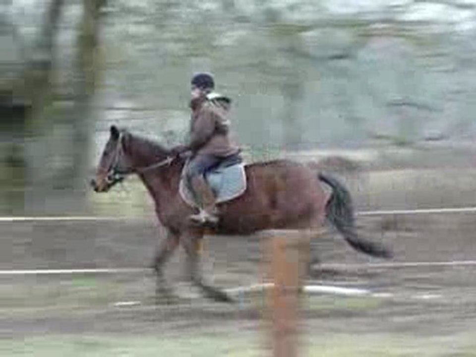 detente obst nathan 09-02-10