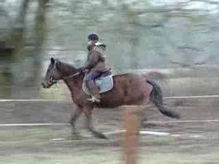 detente obst nathan 09-02-10