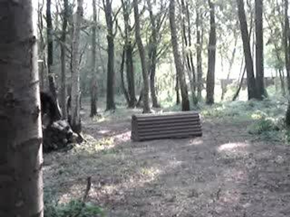 MOV09766