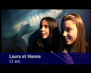 Exposition "Dans le sillage des requins"