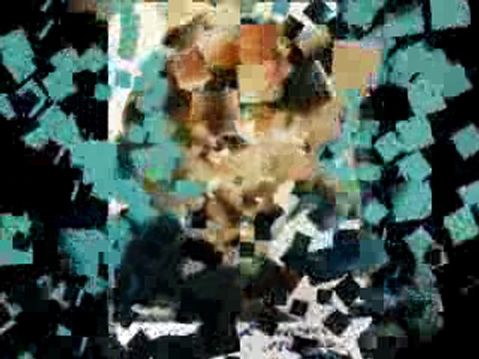 MUSTAFA NECİPOĞLU - İÇİM KAN AĞLIYOR