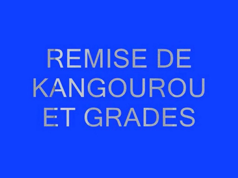 remise kangourou 2010