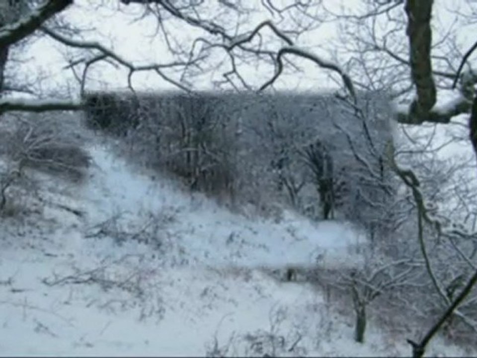 Pélerinage à ND Aubépine.11.02.10