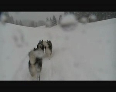 Ballade en traineau sur la piste rando La Pesse Jura 2010