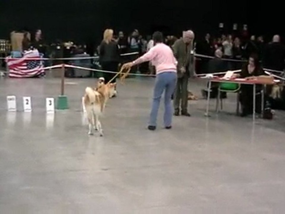 MOV022