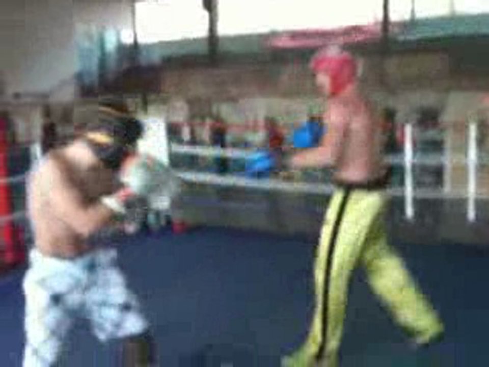 raynald vs alan