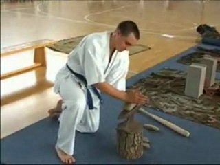 Kyokushin karate demo team