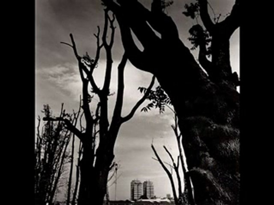 FOTOGRAFIA ITALIANA,ITALIA Augusto de luca