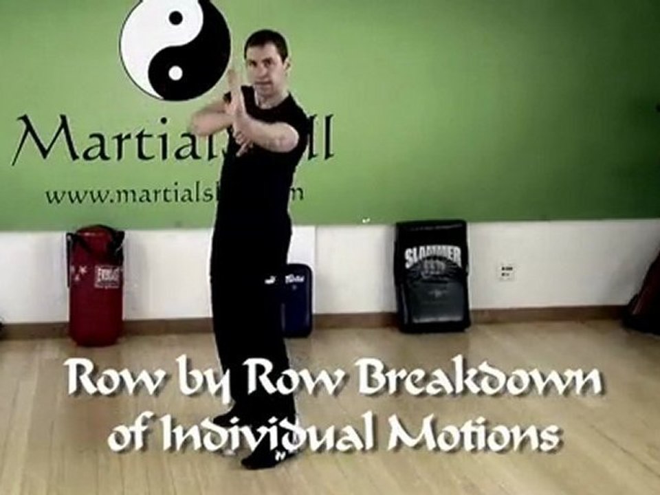 7 Star Mantis Kung Fu: Lan Jie (拦截/Intercepting Boxing) ...