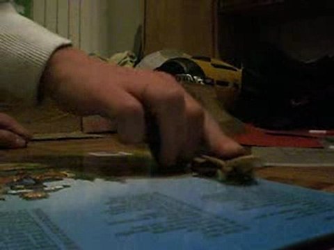 FINGER SKATE LE SHOVE IT