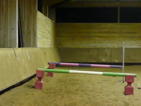 Cours de saut d'obstacle (60 cm)