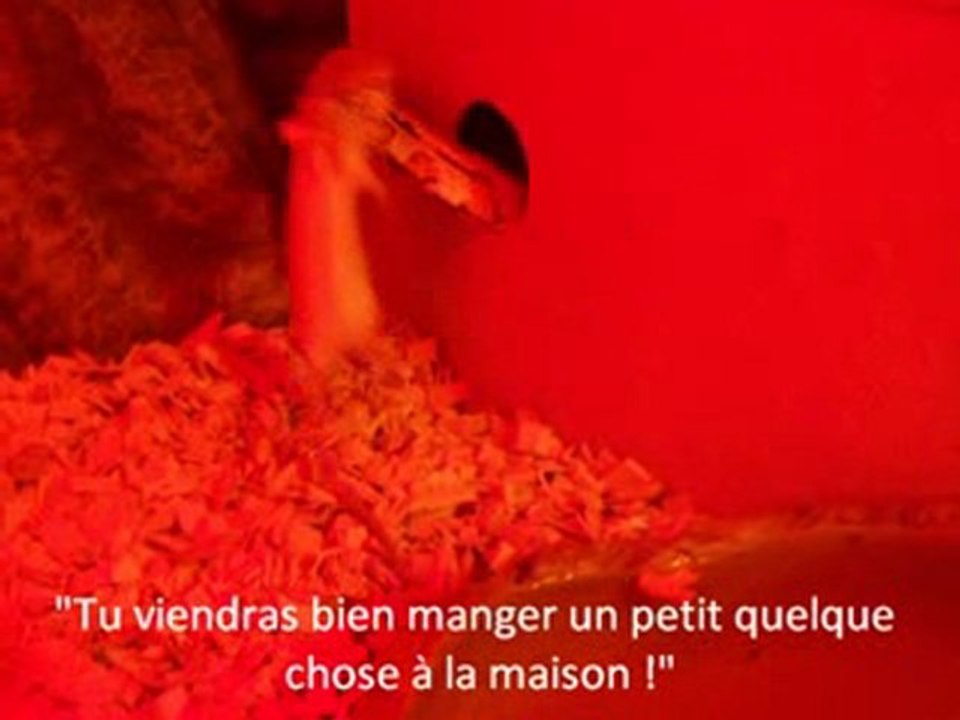 George et Gerry. Le Repas.