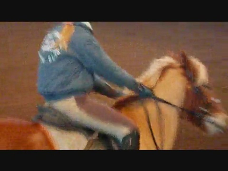 30 janvier 2010 cours de saut avec Orthos