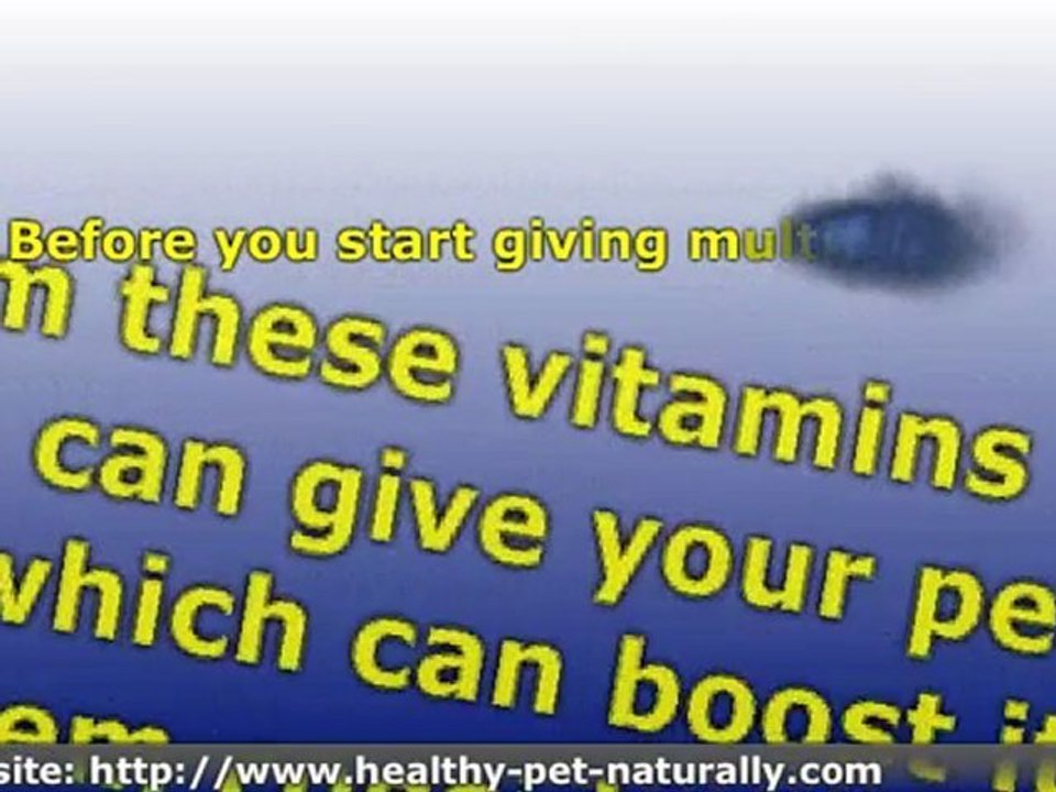 Vitamins for Pet Health ' A Natural Way to Strengthen Your P