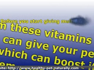 Vitamins for Pet Health ' A Natural Way to Strengthen Your P