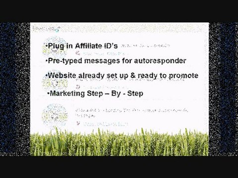 A Sneak Peak at Plug Into Green Profits Site