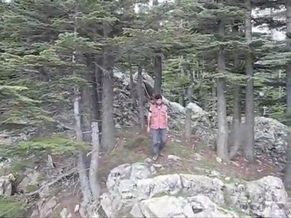 Horoz Köyü Mayıs 2009.  Fatih Sinan Çimen