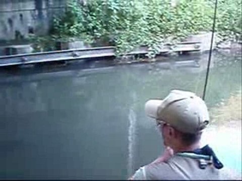 PECHE A LA MOUCHE sortie guiers et gelon 21juin HD