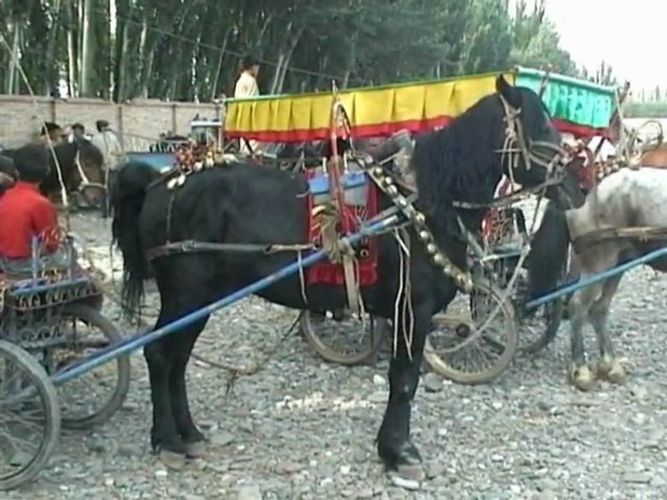 CHINE PROFONDE KASHGAR UN AUTRE MONDE ( CHINA DEEP KASHGAR ANOTHER WORLD )