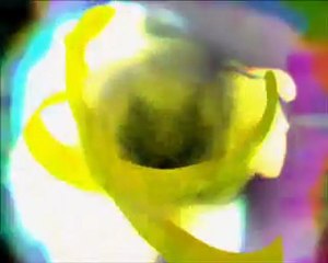 Vjing - Demoscene "Real Sfera 3" (Xeno)