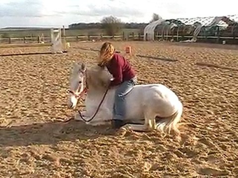 Travail du couché avec ma jument, en toute confiance