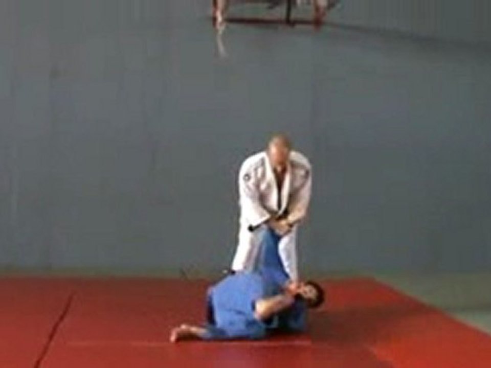 Hane Goshi Gaeshi